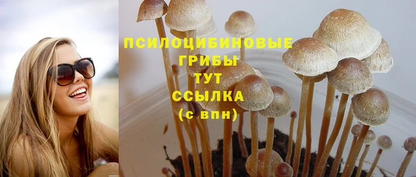 индика Покровск