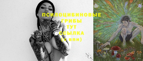 прущая мука Армянск