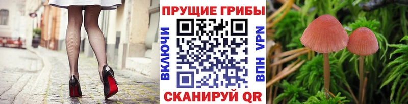 даркнет сайт  Хвалынск  Галлюциногенные грибы прущие грибы 